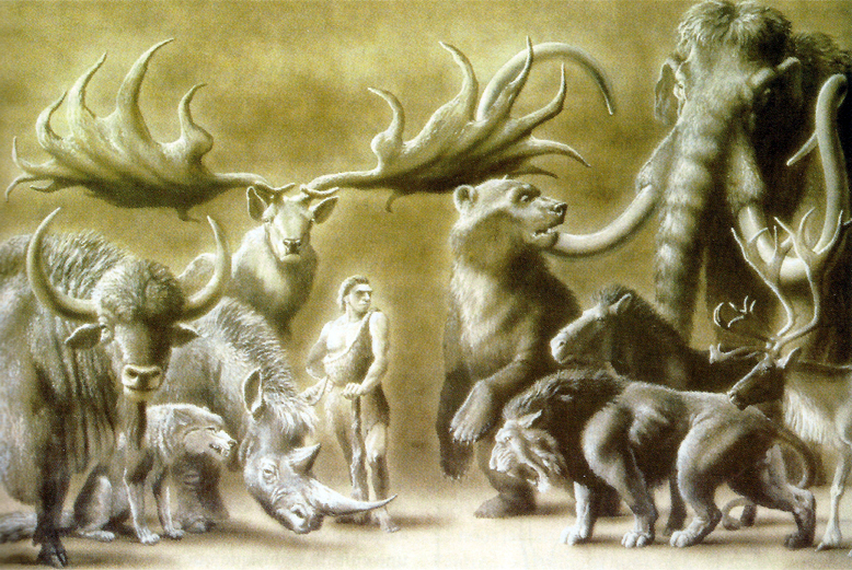 Fauna contemporánea de Neandertal